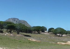 GAP Behuisingsprojek skop af